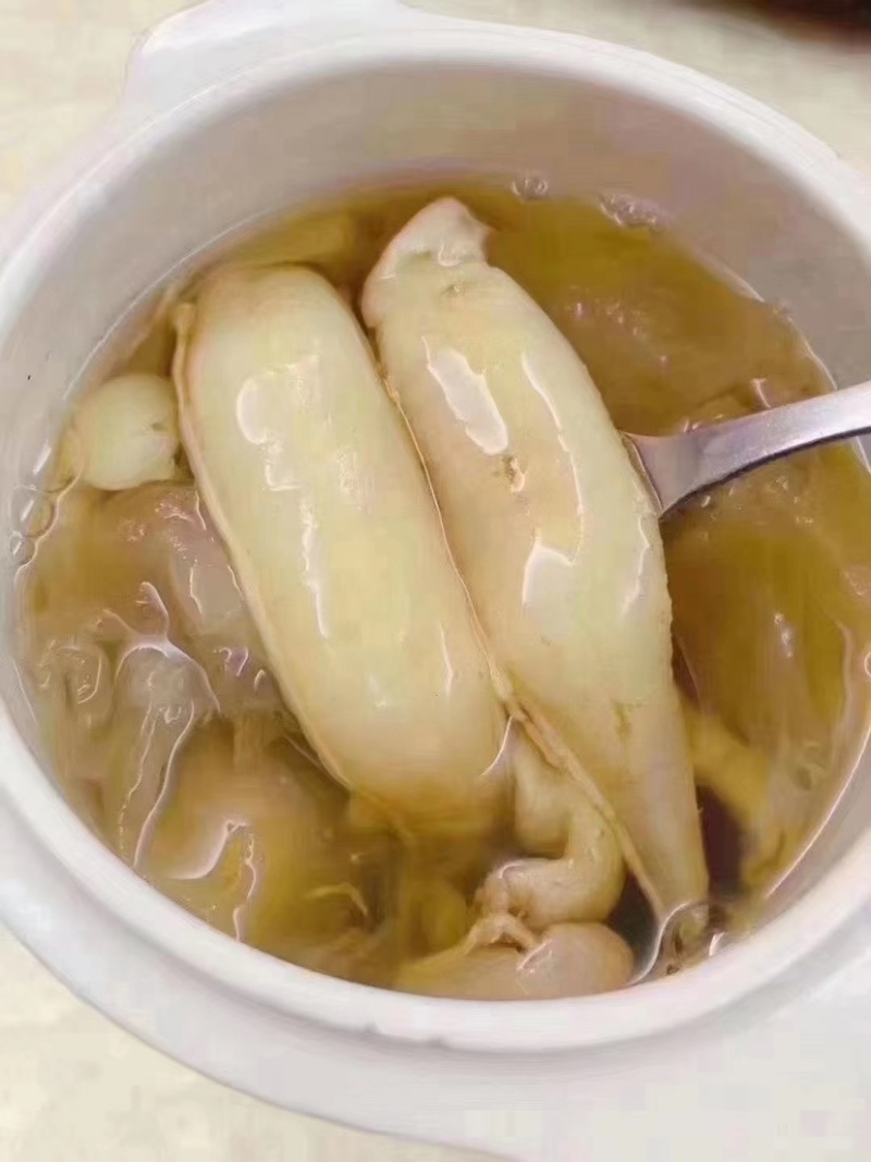 鱼胶金龙筒金龙胶鳘鱼胶黄花胶鸡蛋胶深海花胶干货滋补食材