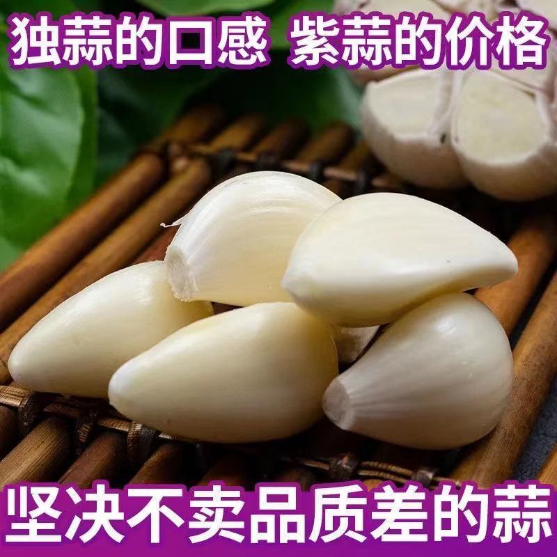 新干蒜紫白皮大蒜新鲜大蒜头2/3/5/10斤批发
