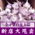 新干蒜紫白皮大蒜新鲜大蒜头2/3/5/10斤批发