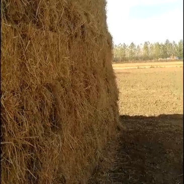 先粉后筛产品质量更干净，粉碎压块小麦秸秆