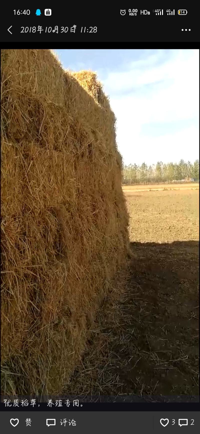先粉后筛产品质量更干净，粉碎压块小麦秸秆