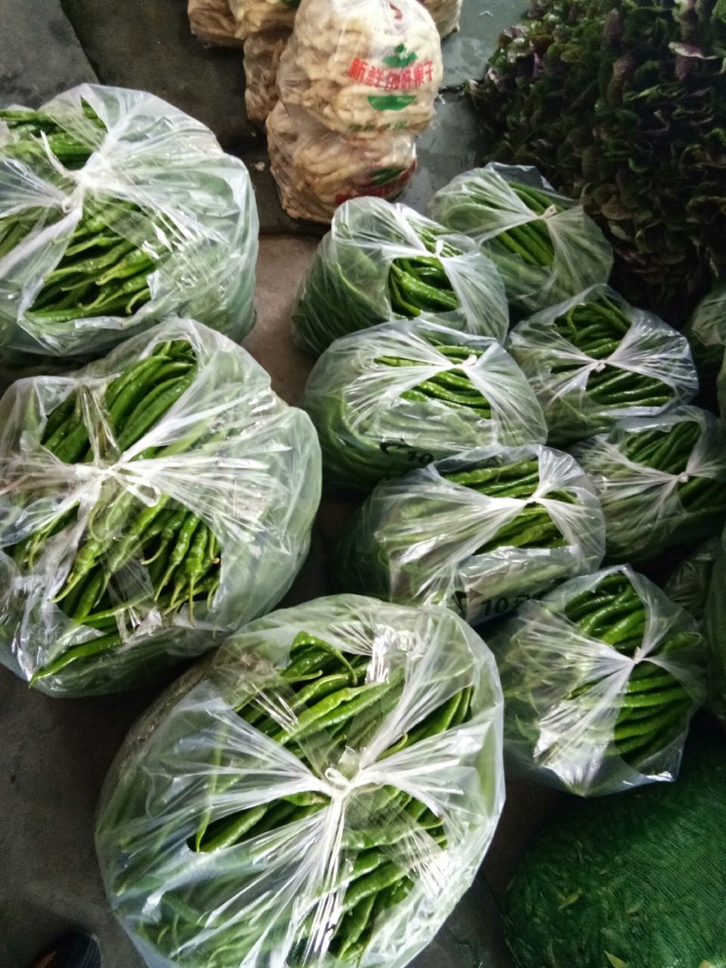 小青椒（新鲜二荆条海椒现货）