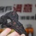 野生九蒸九晒黄精无添加非常香甜可泡酒煲汤直接吃