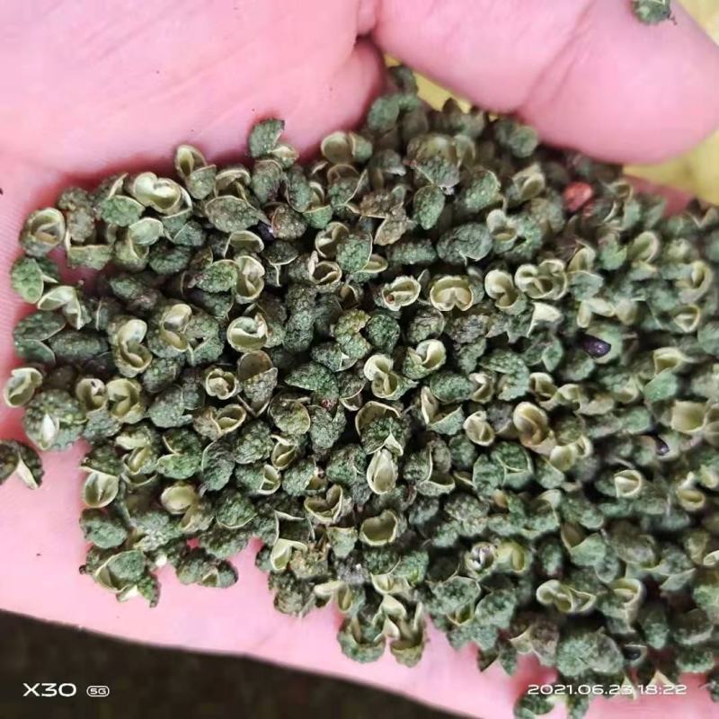 攀枝花优质青花椒，阳光的味道你知道。各类货色均可供应。