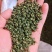 攀枝花优质青花椒，阳光的味道你知道。各类货色均可供应。
