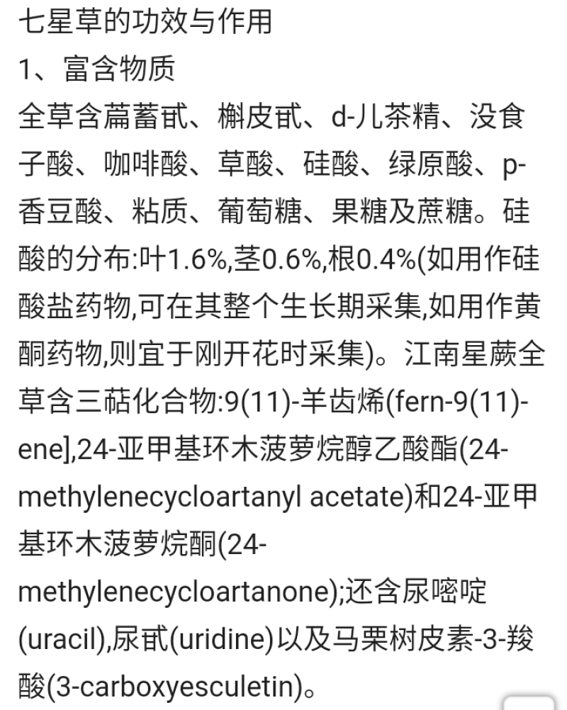 野生新鲜七星草凤尾金星七星剑旋鸡尾骨牌草七星凤尾龙眼