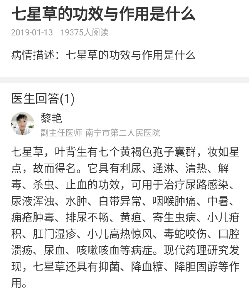 野生新鲜七星草凤尾金星七星剑旋鸡尾骨牌草七星凤尾龙眼