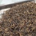 2021春茶武夷山金骏眉茶叶头采散装批发金骏眉特级茶