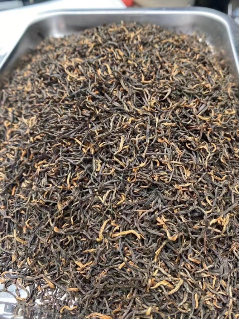2021春茶武夷山金骏眉茶叶头采散装批发金骏眉特级茶