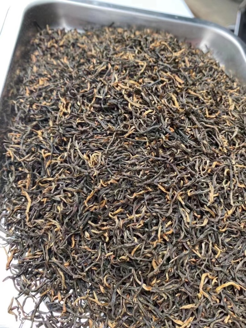 2021春茶武夷山金骏眉茶叶头采散装批发金骏眉特级茶