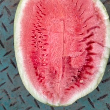 龙卷风西瓜