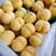 山东枣庄黄金蜜套袋大黄桃，黄金蜜香甜可口产地直销保质保量
