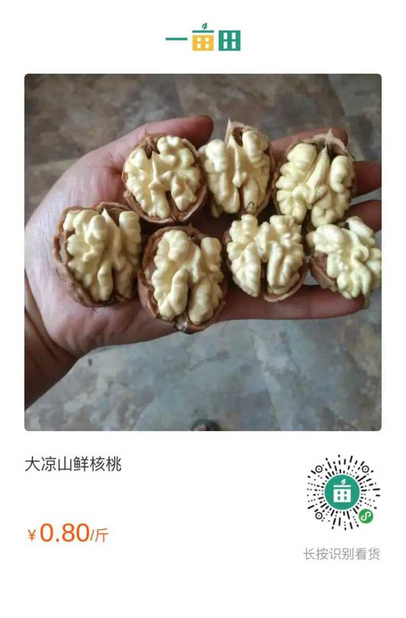 2021年盐源早大优鲜核桃，质优价廉，欢迎各位老板采购！