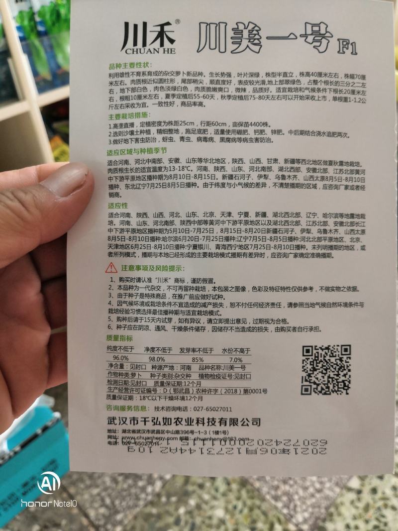 川美一号，一代杂交青头萝卜种子，青皮绿肉表面光滑，口感甜