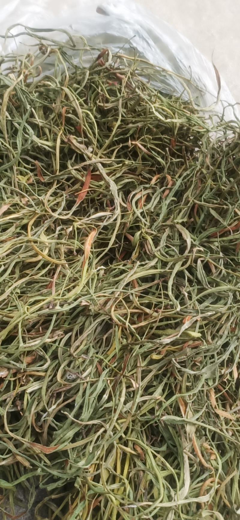 云南原生态小叶子化石草数量不多，质量保证