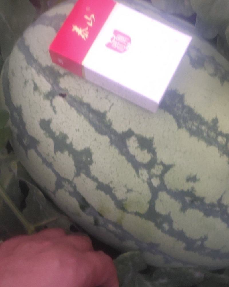 西瓜