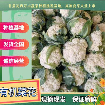 甘肃有机蔬菜、散花、定西散花大量批发、正在装车发货