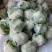 甘肃有机蔬菜、散花、定西散花大量批发、正在装车发货