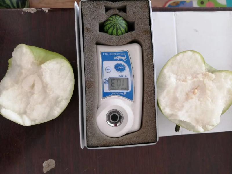 砀山翠冠梨，翠玉梨，黄冠梨开始上市，口感好