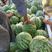 西瓜大量上市美都100亩，甜王西瓜大量有货。
