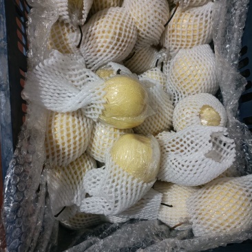 水鸭梨，，，，，，，，，，