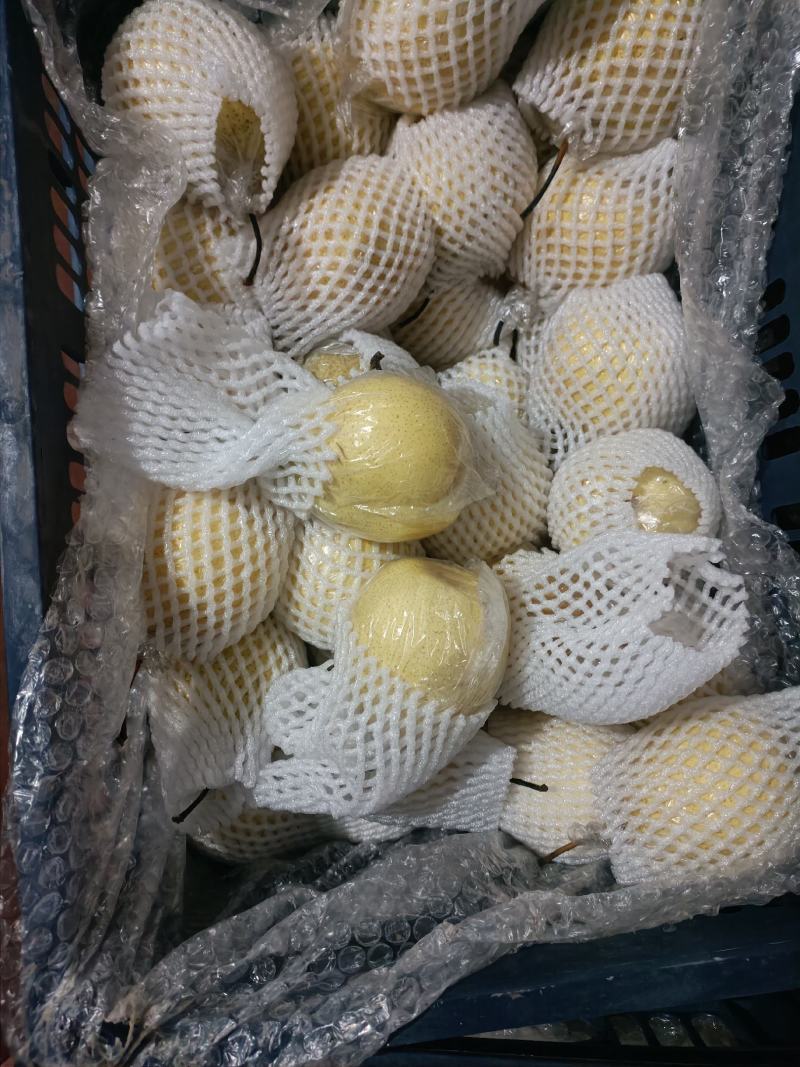 水鸭梨，，，，，，，，，，