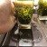 恩施硒绿茶2021新茶毛峰直条绿茶春茶高山云雾茶浓香