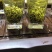 恩施硒绿茶一根丝一级绿茶2021春茶高山云雾茶浓香绿茶厂