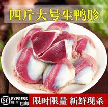 【顺丰包邮】新鲜散养鸭肫2斤/4斤冰冻鸭胃生冷冻新鲜整箱