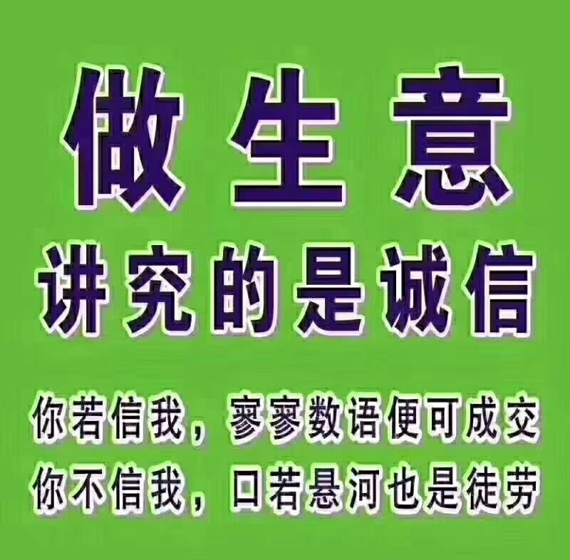 原装进口日本龙井公司四季小葱种子