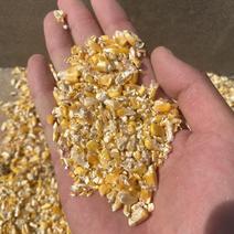 碎玉米，可降低鸡鸭鹅成本，量大，无土无沙无霉变，，，