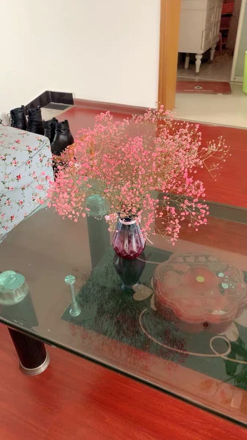 满天星