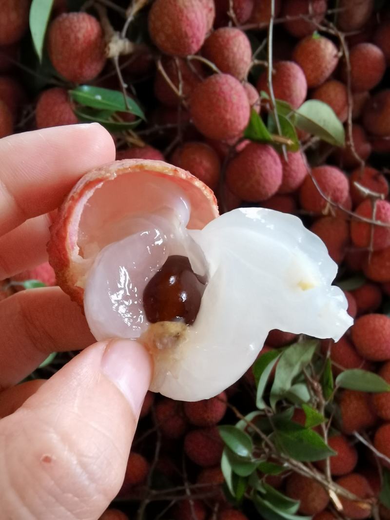 荔枝