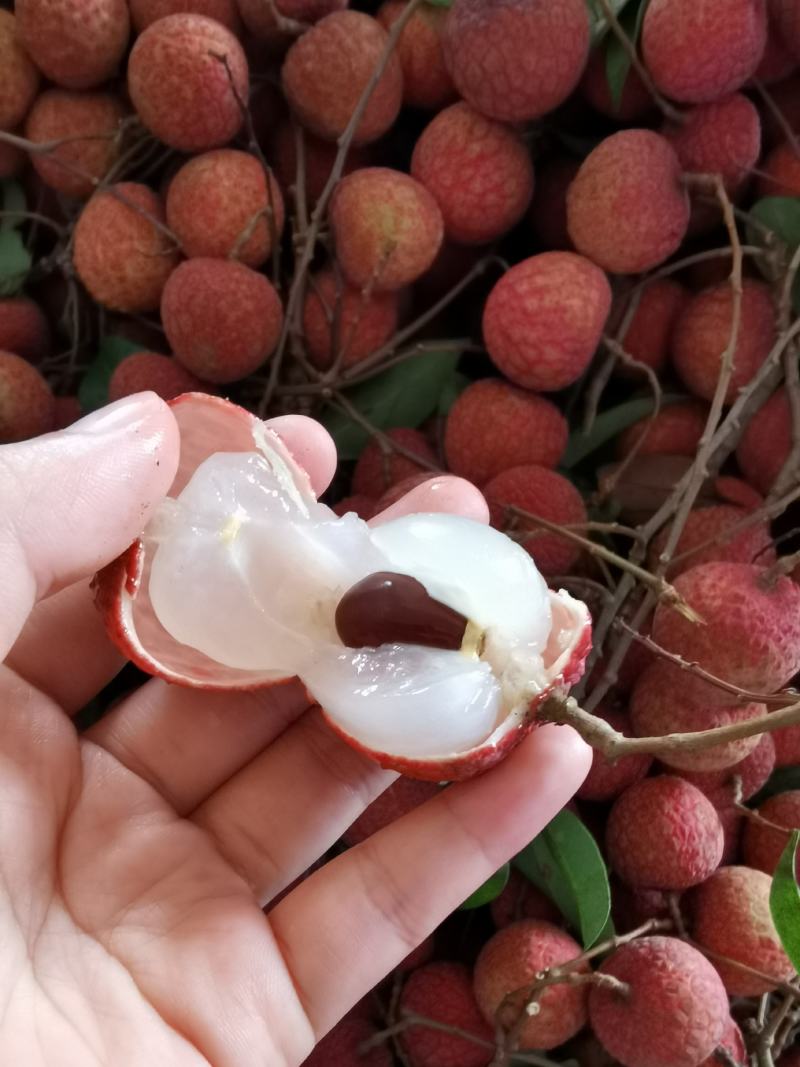 荔枝