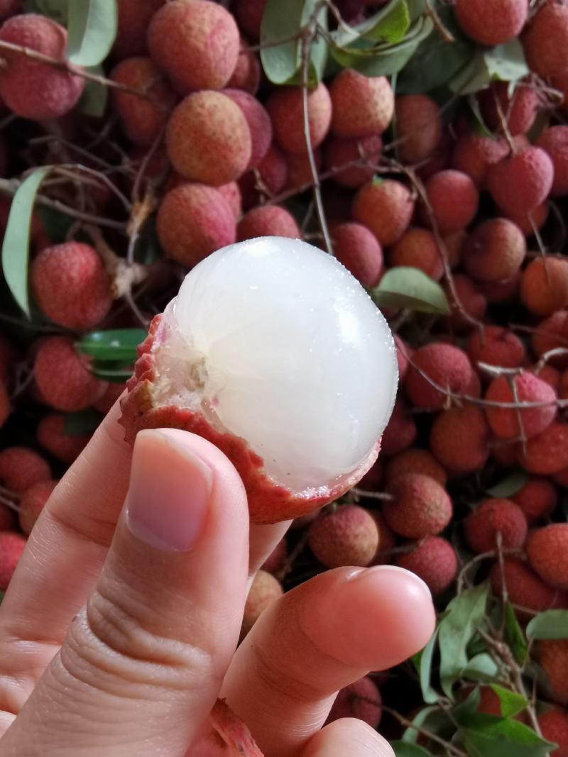 荔枝