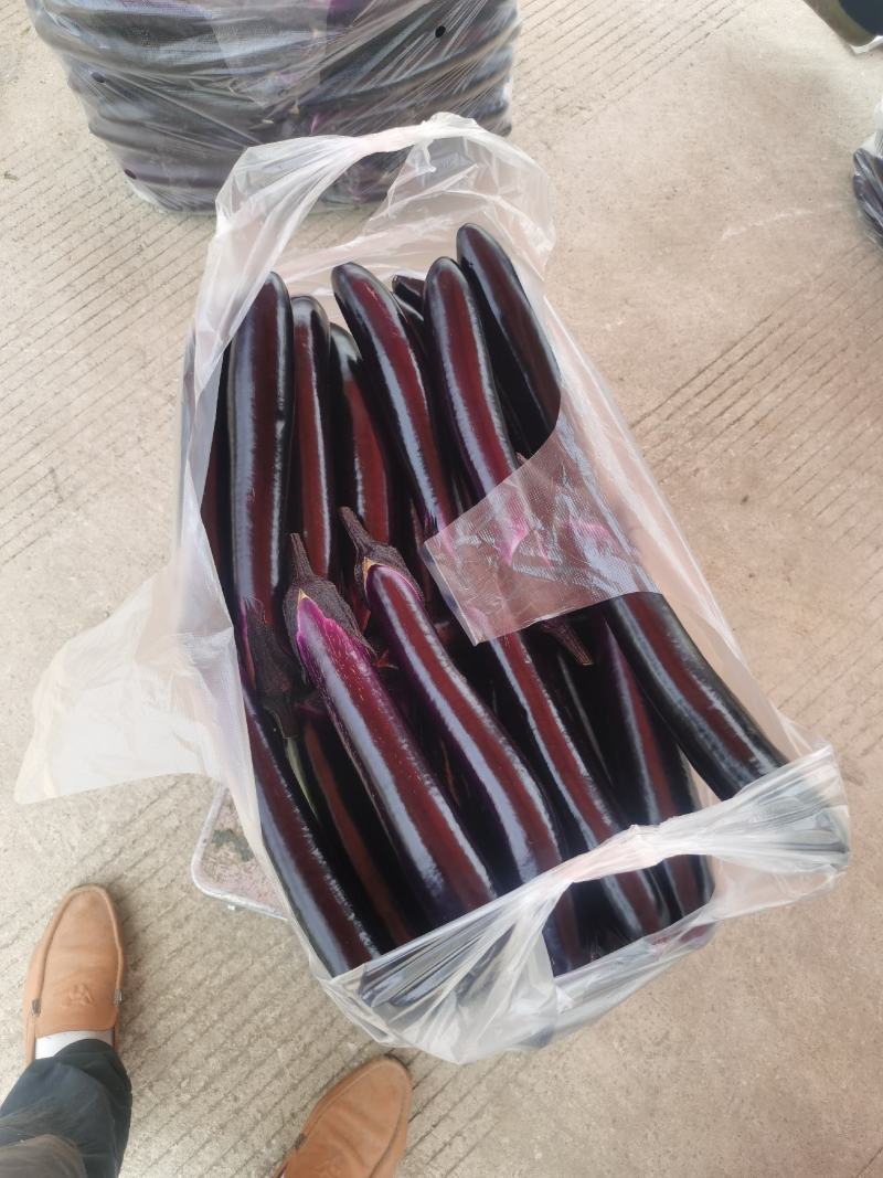 贵州中茄一手货源产地直供黔货外发工厂