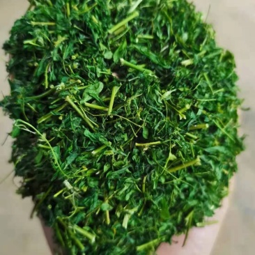 相思茶鸡骨草叶相思藤茶货大质优