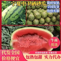 【产地直发】金城五号西瓜品质保证包熟包甜实力代办
