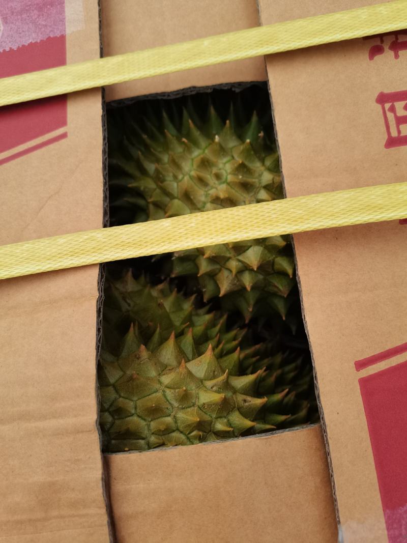 泰国金枕榴莲，可整柜订货，产地带包装贴牌等业务