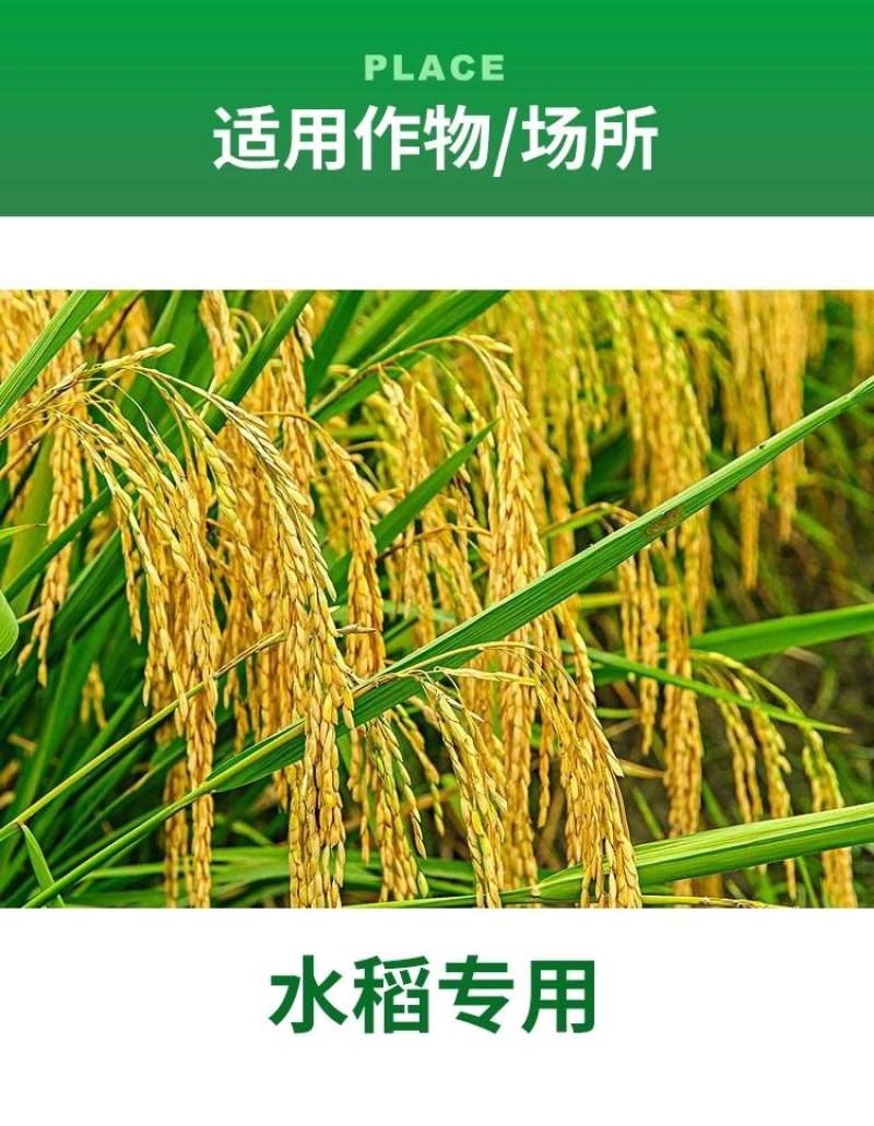40%三环唑水稻稻瘟病专用药苗瘟叶瘟稻瘟灵穗颈瘟杀菌剂