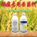 40%三环唑水稻稻瘟病专用药苗瘟叶瘟稻瘟灵穗颈瘟杀菌剂