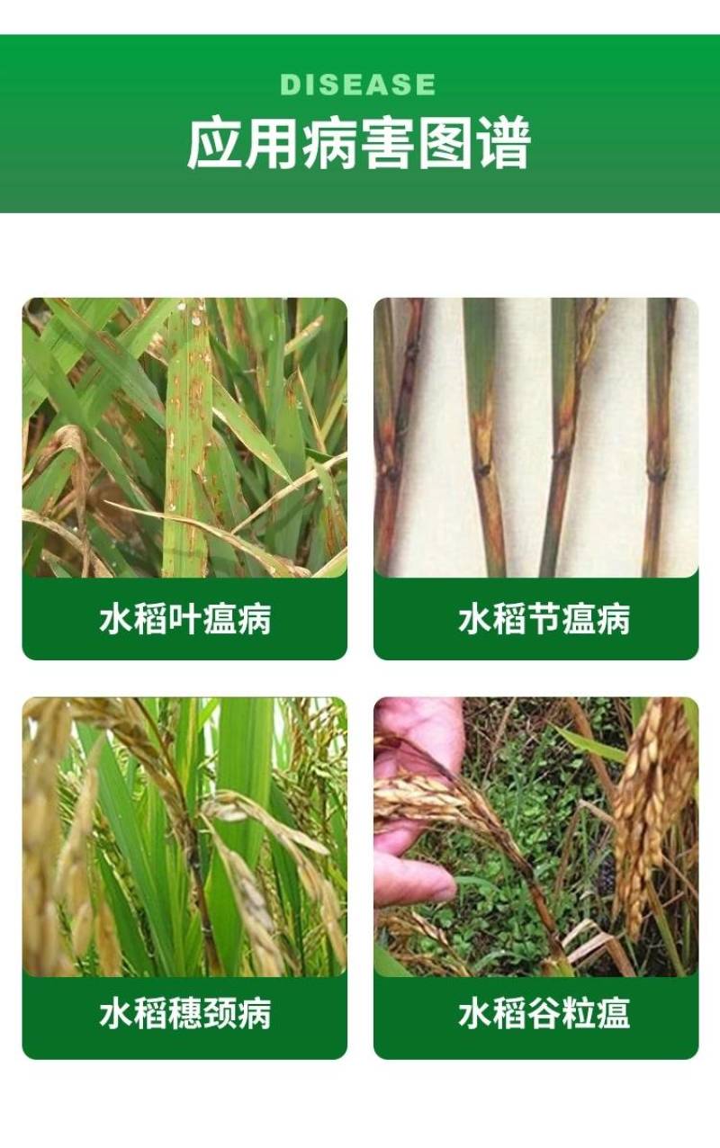 40%三环唑水稻稻瘟病专用药苗瘟叶瘟稻瘟灵穗颈瘟杀菌剂