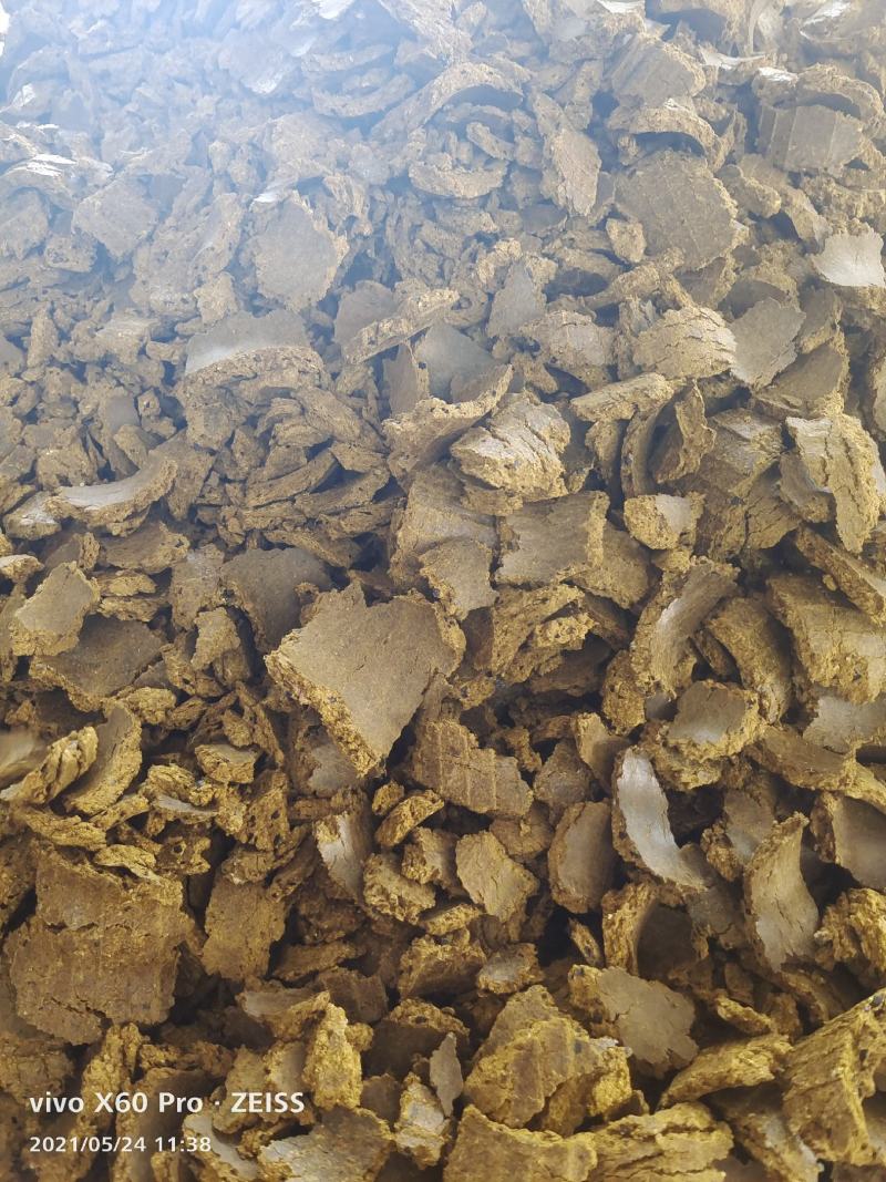棉籽饼大量有货棉籽饼棉泊