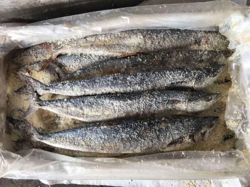 正宗梅香马鲛