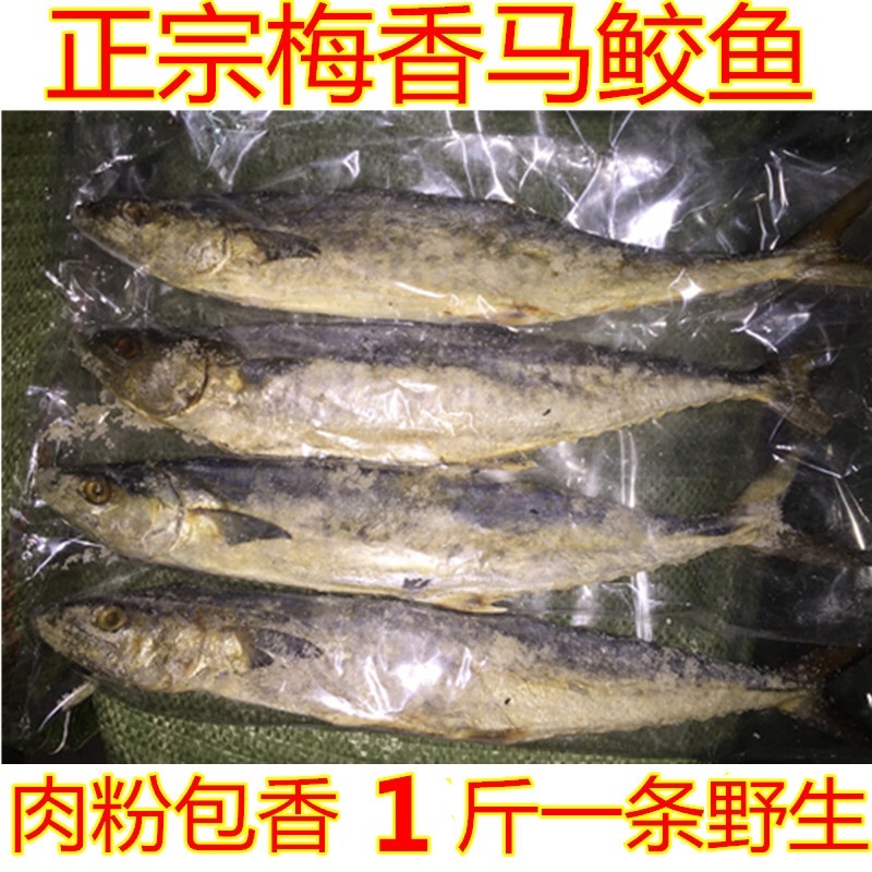 正宗梅香马鲛