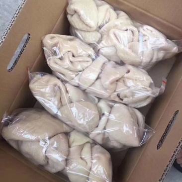 熟羊肚十成熟红烧炒菜凉拌肚丝汤酒店餐饮必备产品