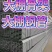 大棚骨架蔬菜大棚养殖大热镀锌钢管大棚包塑钢管大棚全套配件
