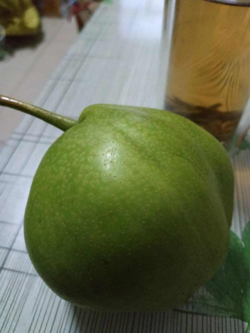 早酥梨现上市中，酸甜可口，核小水分足现采现发，一件代发