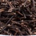 威灵仙中药材新货干货野生灵仙铁扫仙灵脾根500g