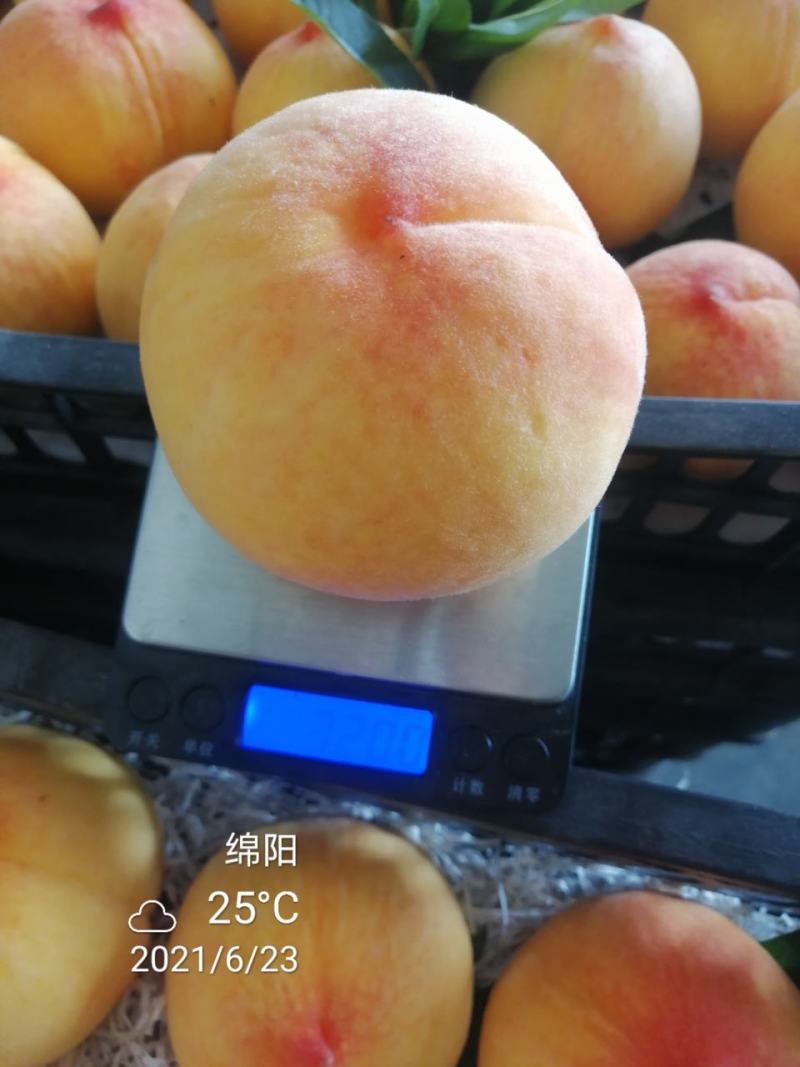 热卖四川正宗黄桃，蟠桃，万亩水果基地脆甜多汁